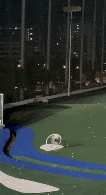 wild boars golf range balls