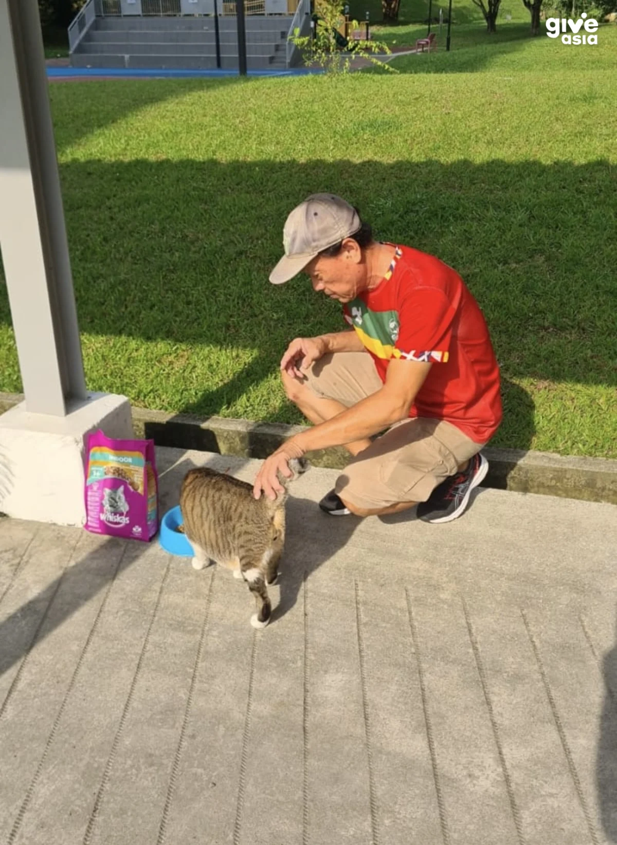 boon lay cat feeders